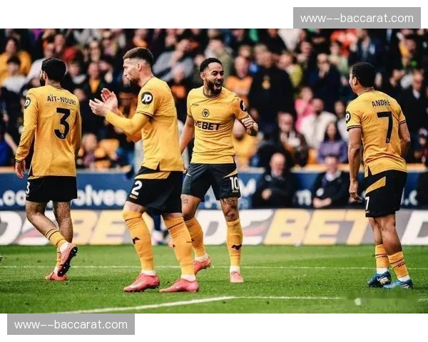 狼队进攻端缺乏有效组织 前场球员个人能力难以形成合力